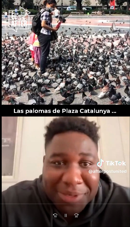 JMD EL AFTER - Las palomas de Plaza Catalunya ...